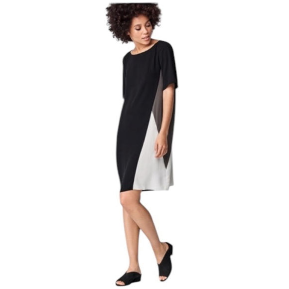 EILEEN FISHER Silk Georgette Crepe Color Block Shift Dress - Picture 13 of 13